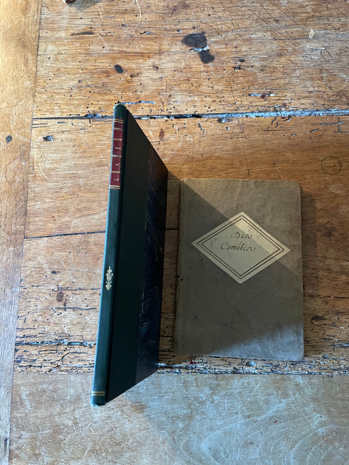 Null [手稿]。

[DELANGE] 《灰姑娘的故事》。戈宾下士从非洲回来时讲述的。手写本，署名路易-莫雷，1909年，半胶印装订，标题页。1张记谱的曲子&hellip;