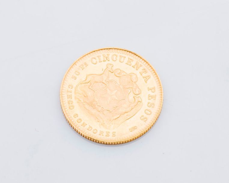 Null Une pièce de 50 pesos or, République du Chili

Poids : 10,1 g