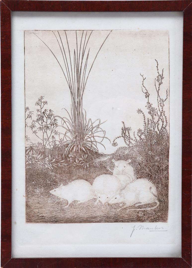 Jan Mankes 扬-曼克斯 (1889-1920)

4只老鼠，蚀刻画 19.5x14.5厘米