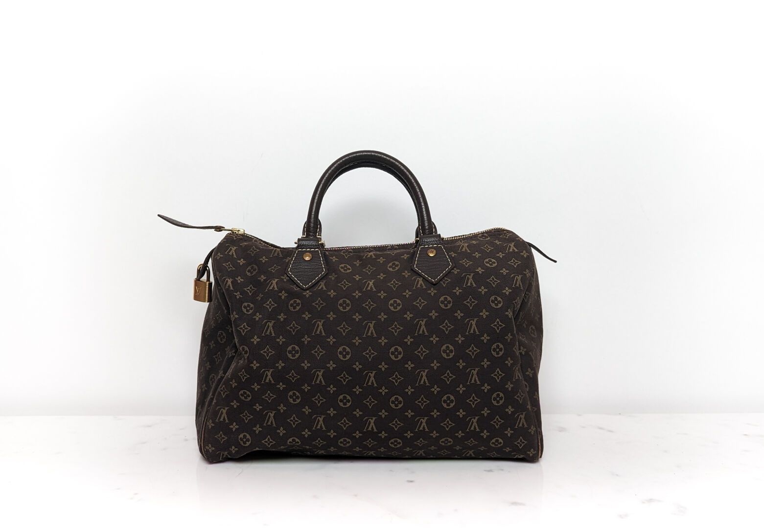 louis vuitton speedy with gold plate