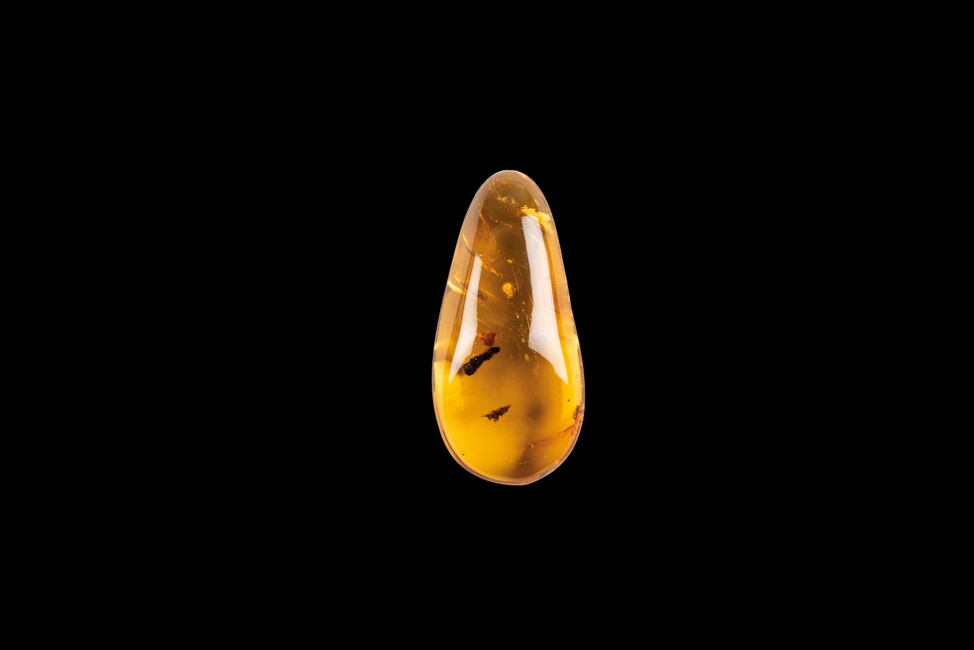 Null Fragment d'ambre de Saint-Domingue de 24,47 cts. Comprenant une fleur et un&hellip;