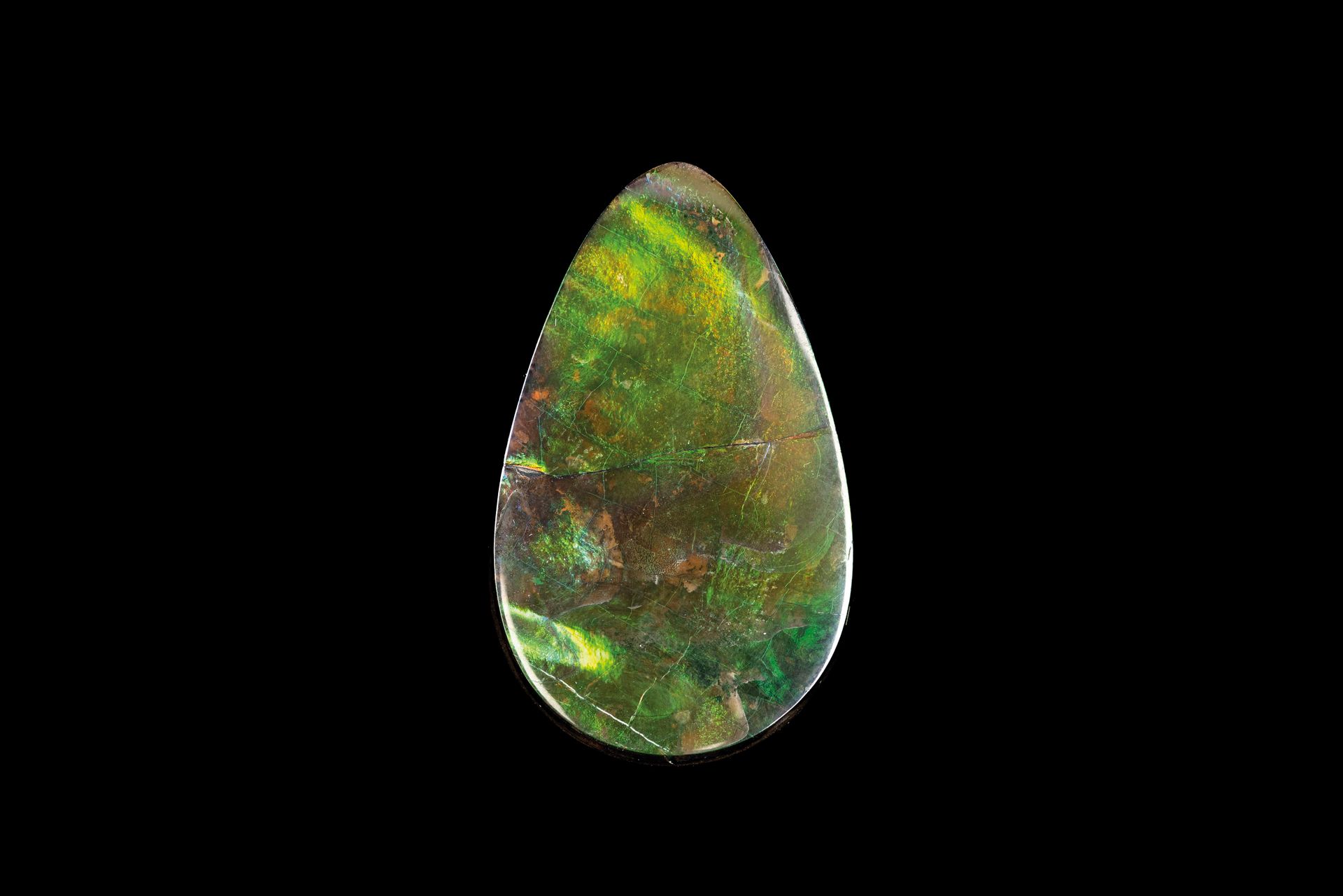 Null Large ammolite of 36.17 cts.