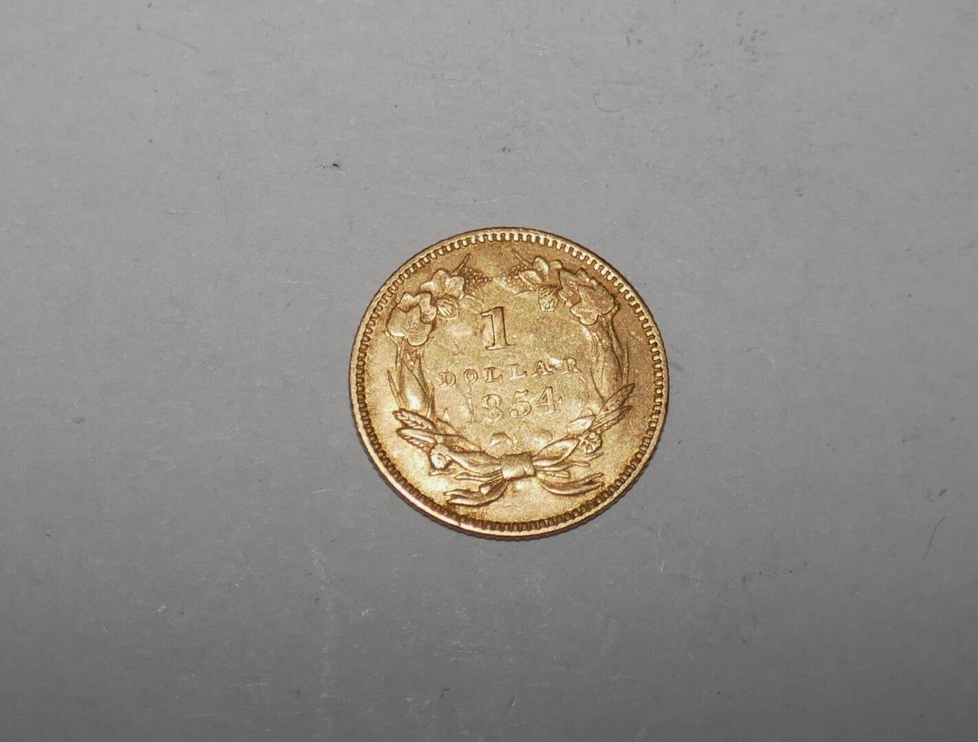 Null Una moneta d'oro da 1 dollaro Princess Indienne 1854, 1,6 gr
