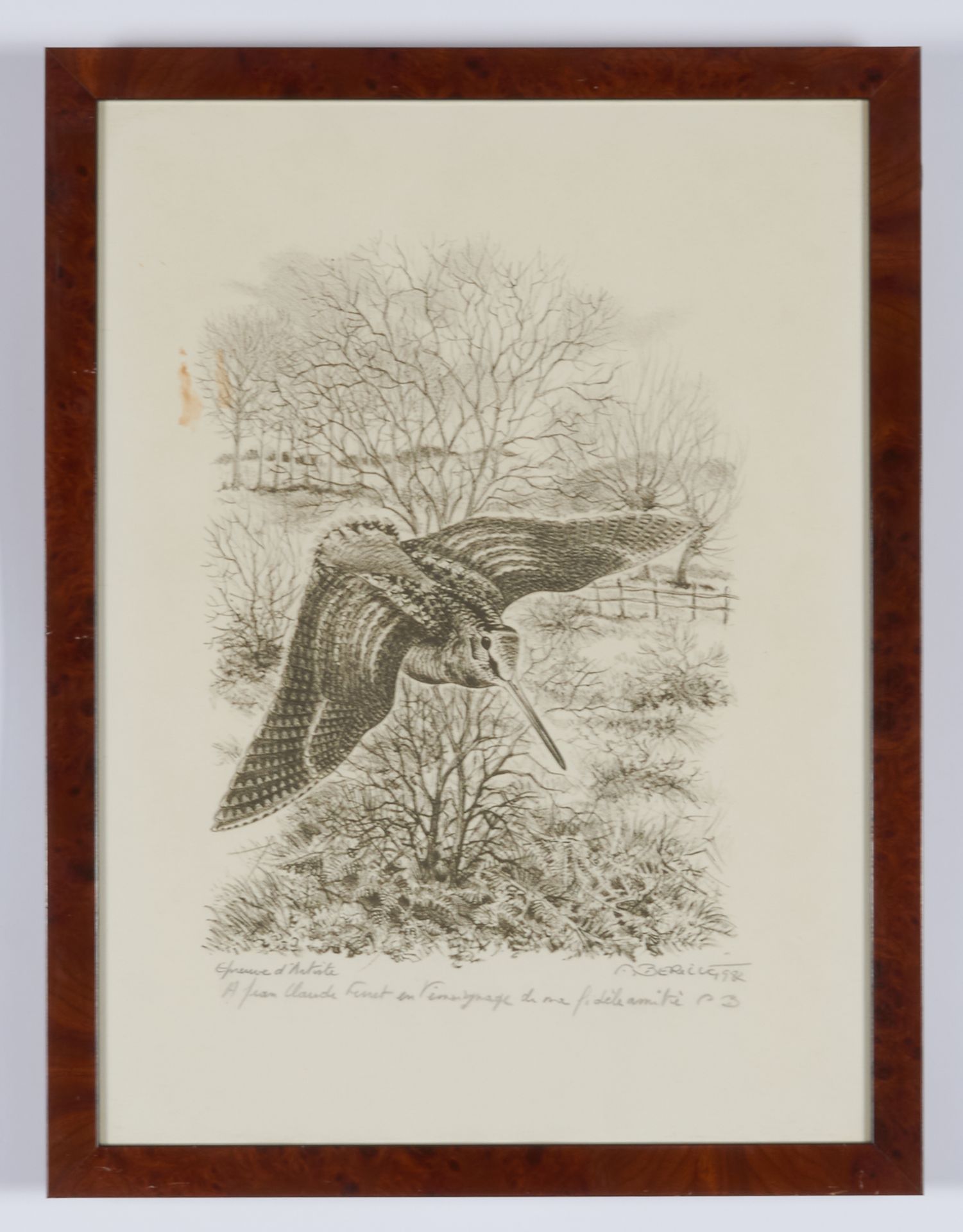 Null BERILLE Francis (born in 1945)

"The woodcock" artist's proof signed and da&hellip;
