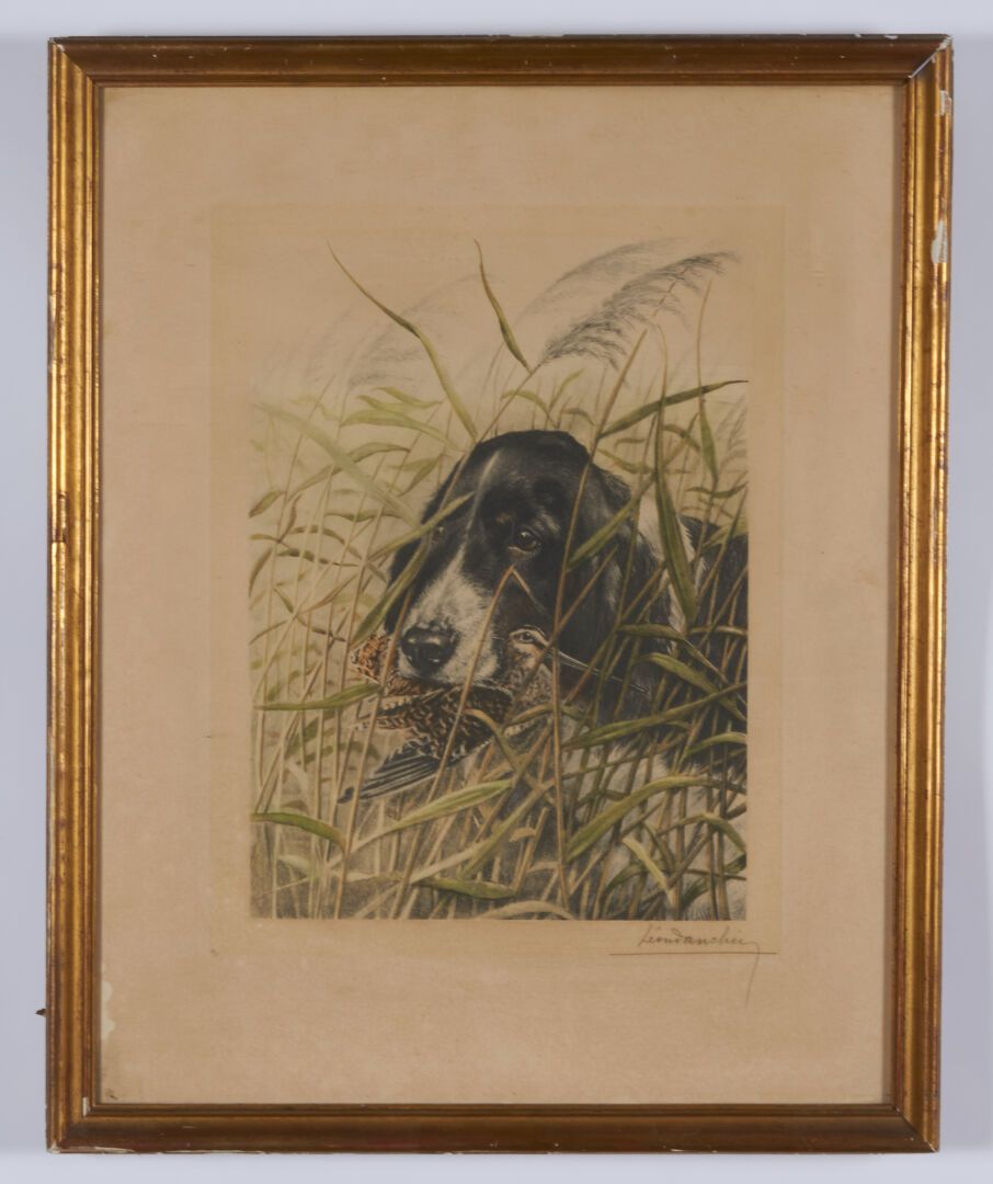 Null 丹辛-莱昂 (1887-1938)

"猎狗 "石版画，右下方有签名 - 61 x 48