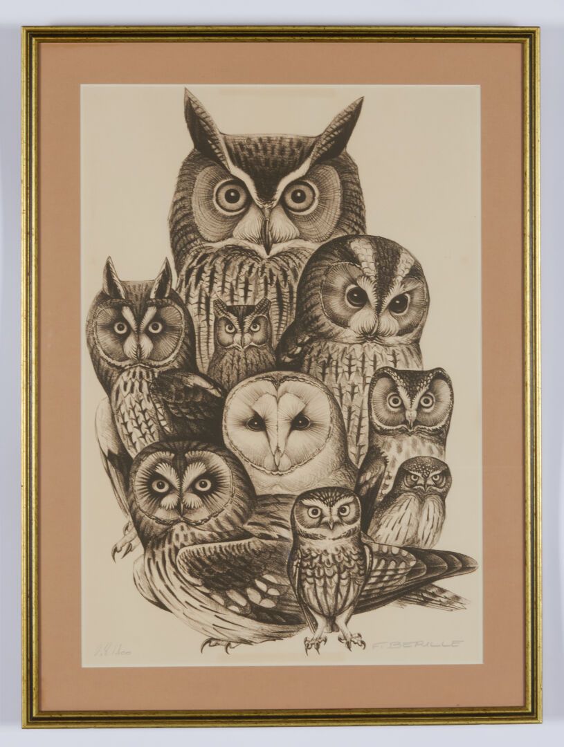 Null 贝里尔-弗朗西斯(生于1945年)

"猫头鹰 "石版画，右下方有签名，编号28/100 - 57,5x39,5