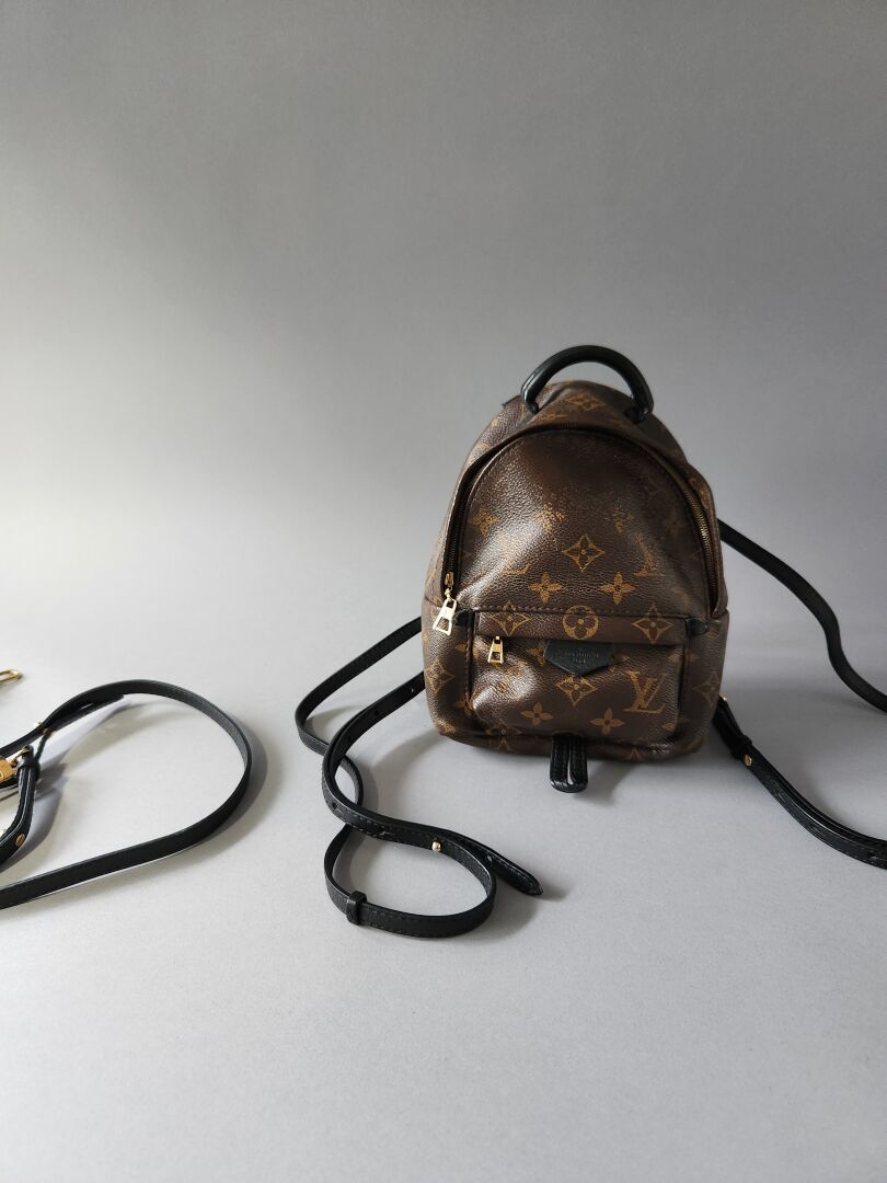 Null LOUIS VUITTON
Spring backpack in monogram canvas and black leather
Black ca&hellip;