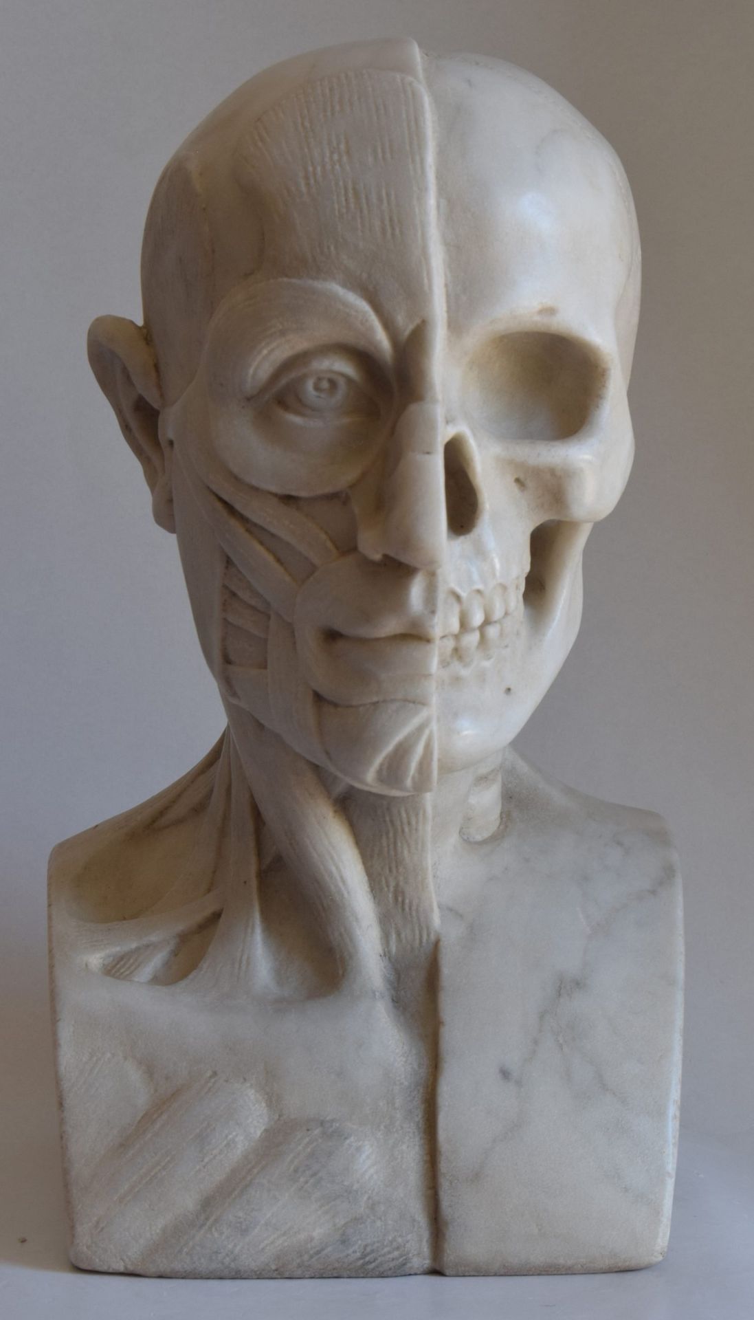 Null Sculpture anatomique, 36x24x20cm - 20e siècle