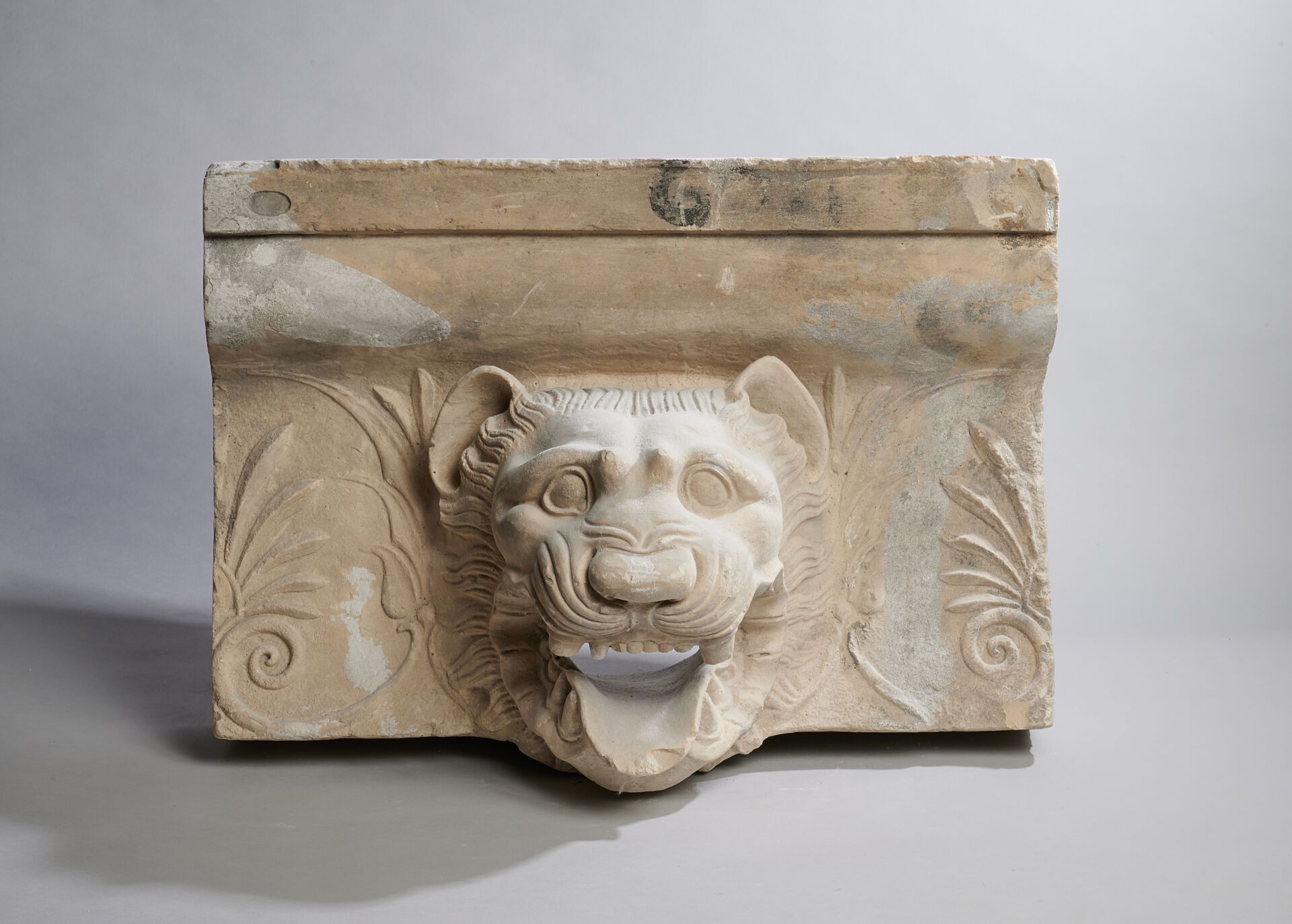 Chéneau de Métaponte représentant une gargouille de lion Atelier de moulage du M&hellip;