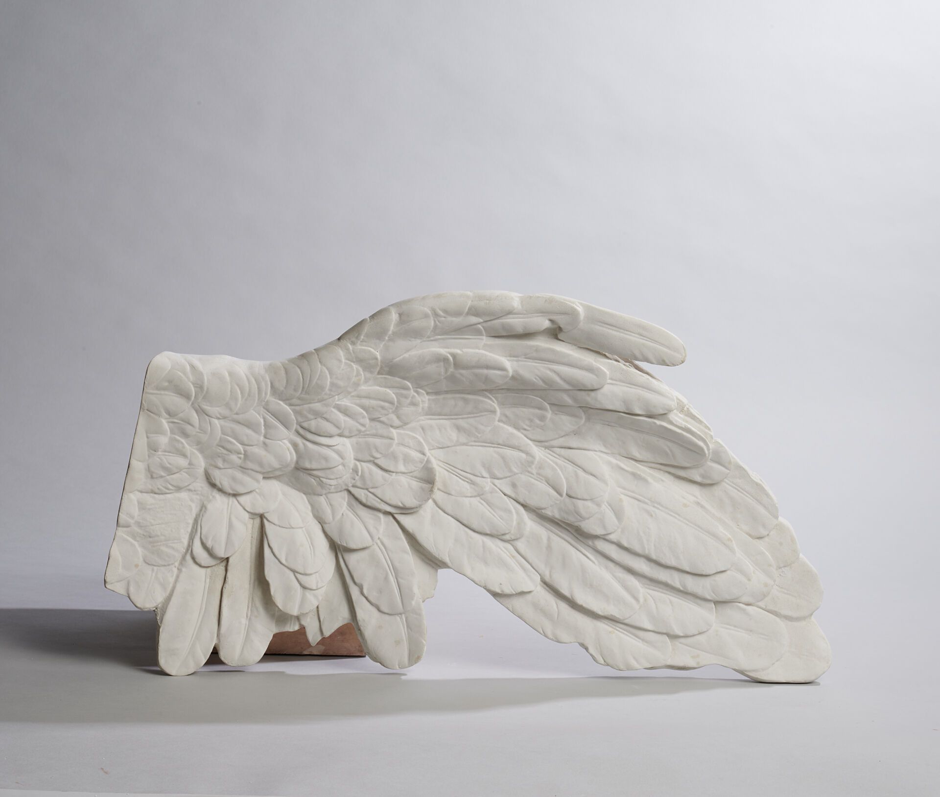 Aile gauche de la Victoire de Samothrace (réduction) 国家博物馆模塑工作室（1928 年）
萨摩色雷斯胜利女&hellip;