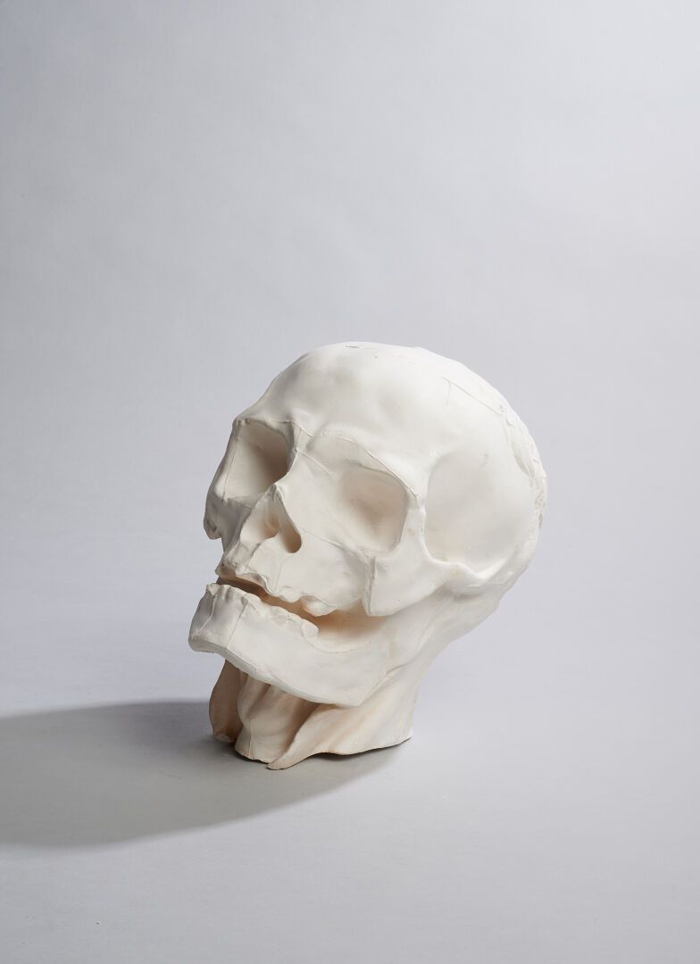 Crâne, partie du transi Atelier de moulage du Musée de sculpture comparée (1882-&hellip;