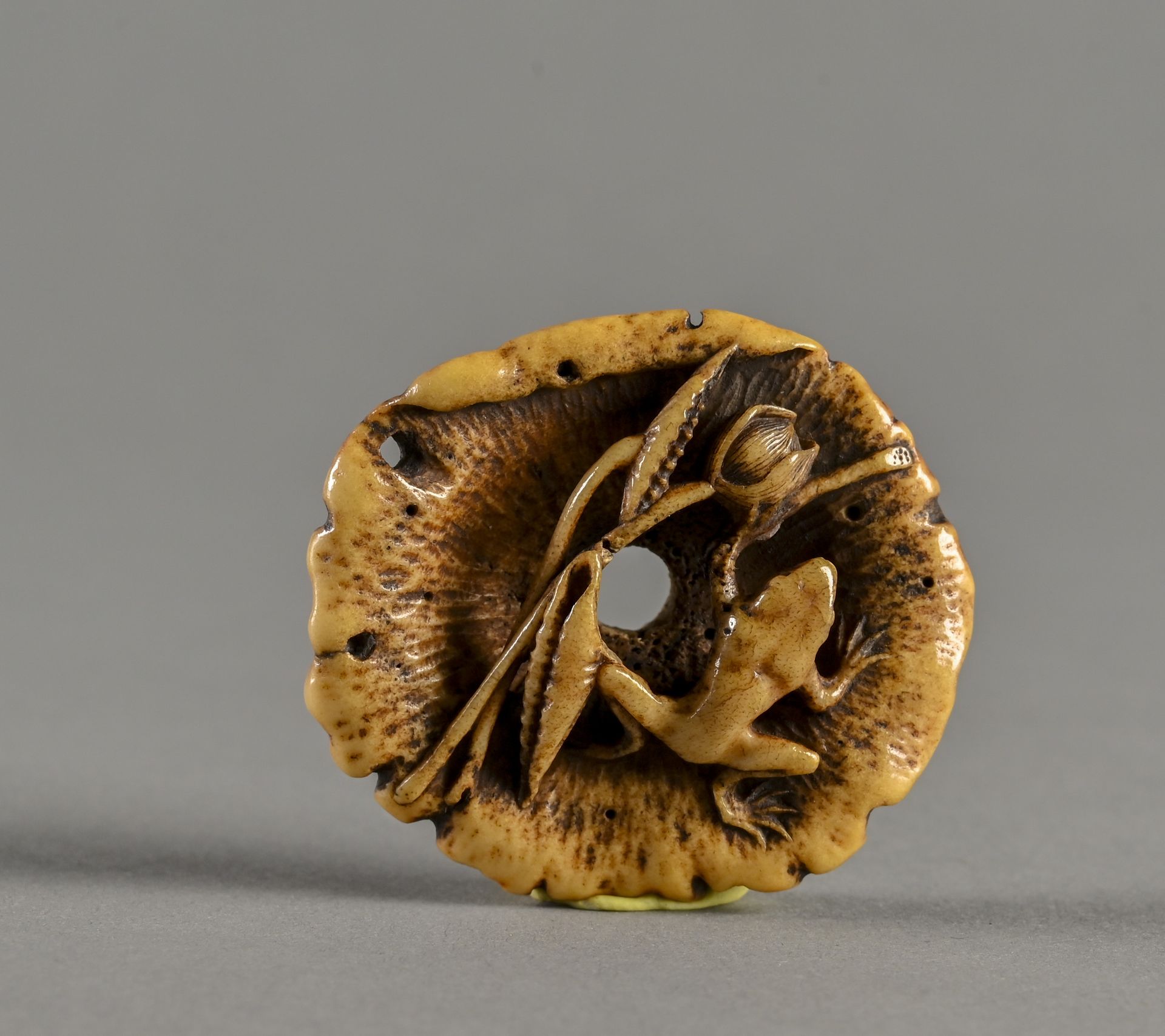 JAPON, Epoque Edo, vers 1830 Netsuké en bois de cerf représentant une grenouille&hellip;