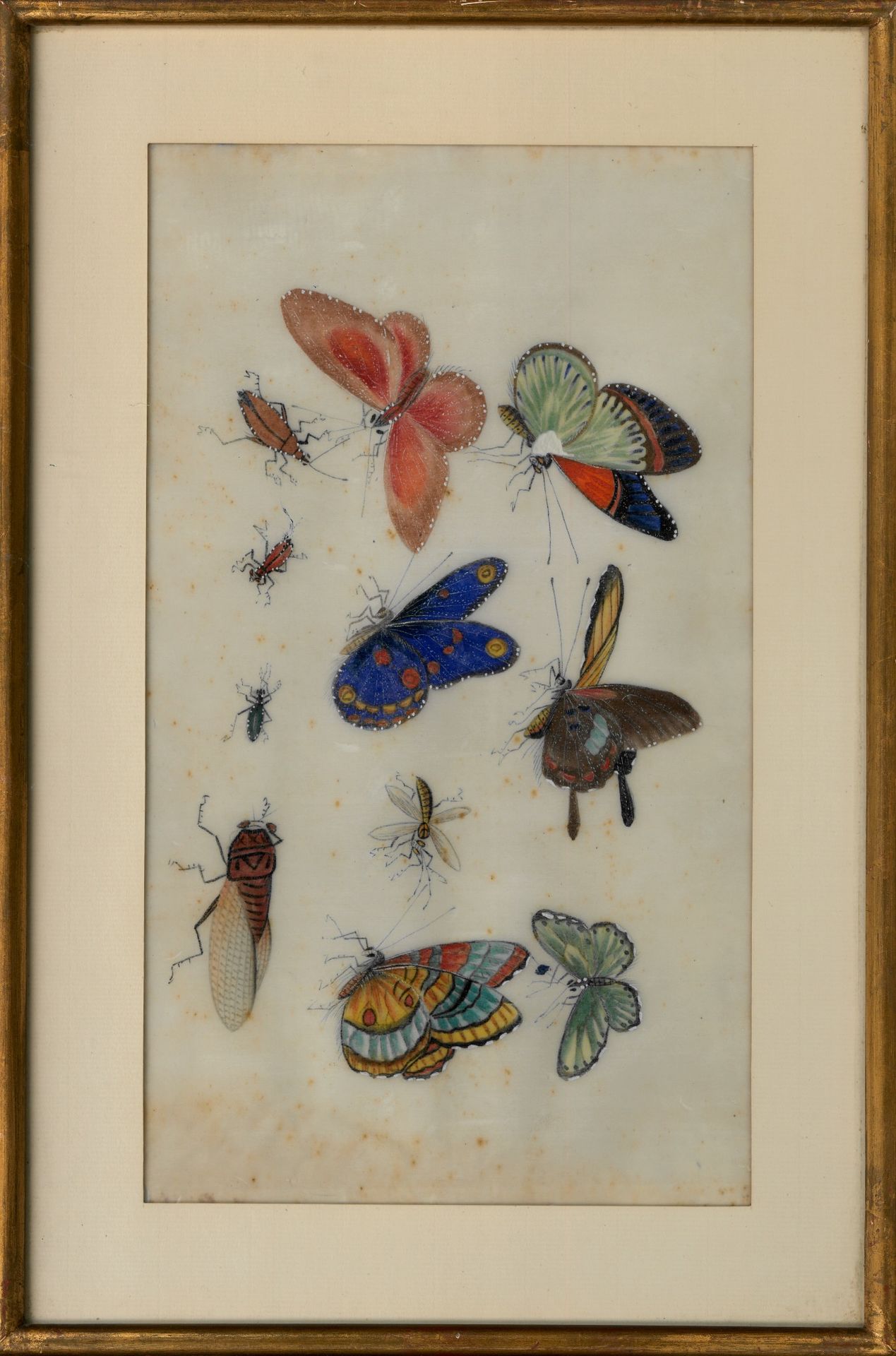 VIETNAM - vers 1880 Painting on rice paper, showing butterflies, cicadas, mosqui&hellip;