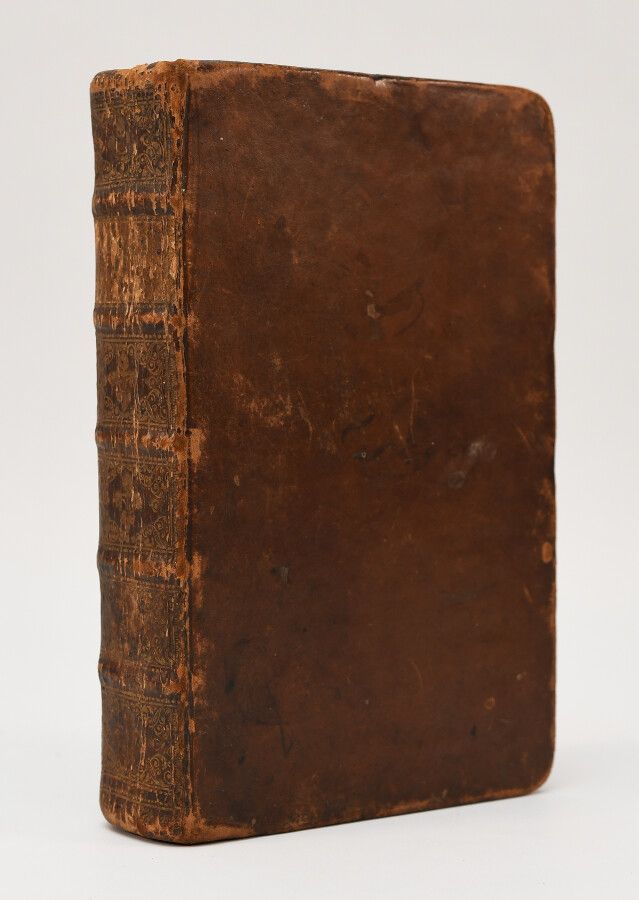 Null (匿名)。马丁-诺格在欧洲的旅行和冒险。

海牙，阿德里安-莫特金斯，1728年。In-12 of [2]-481-[21]页，黄褐色小牛皮，书脊有棱&hellip;