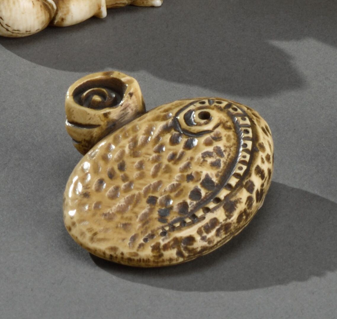 Null JAPAN - EDO period (1603-1868) 

Ivory netsuke, representing a clam, a sea &hellip;