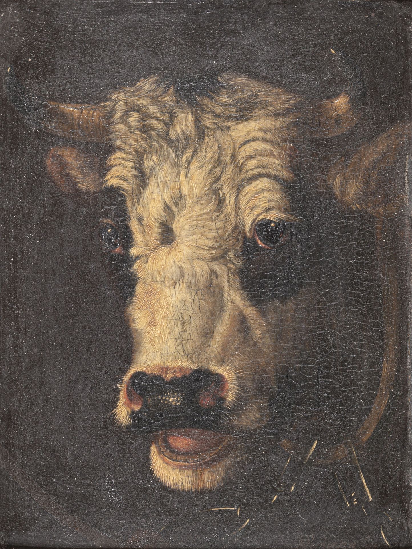 Null Albertus VERHOESEN (1806-1881)

Portrait de taureau

Huile sur panneau, sig&hellip;