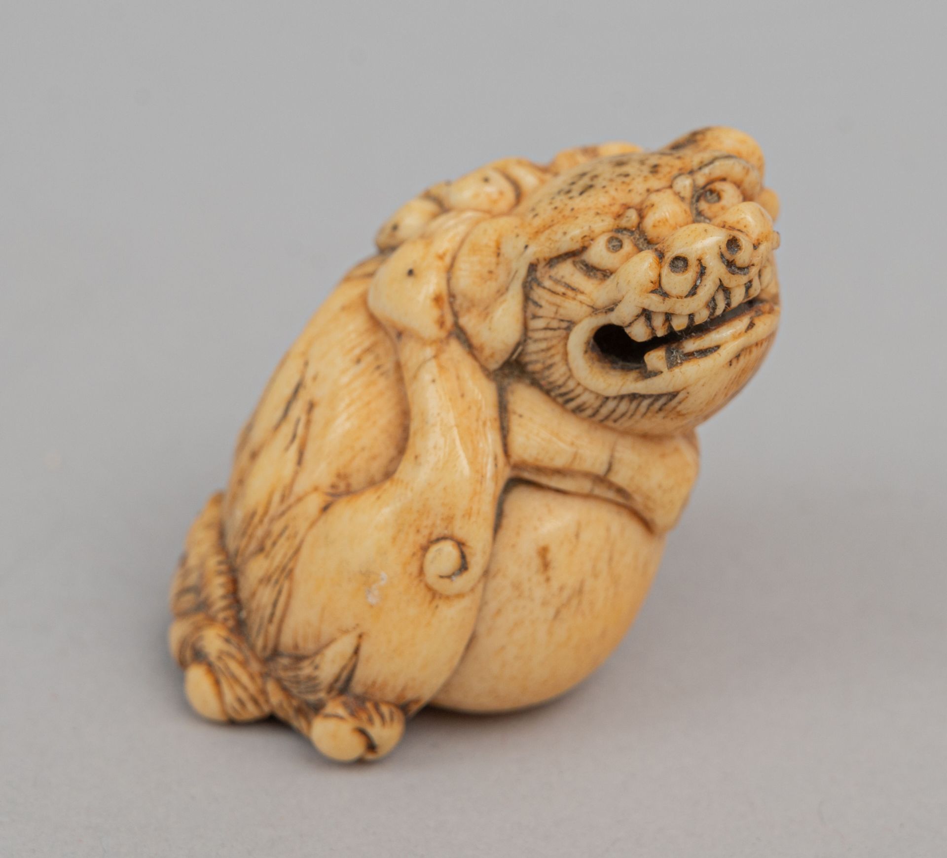 Null 骨制挂件，日本，19 世纪
表现一只坐着的佛教狮子，抬头张嘴，一只前爪放在一个球上，后爪在耳后抓挠。
H.5 厘米