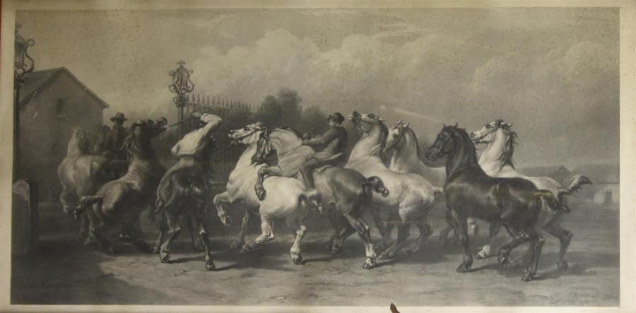 Null D'après Rosa BONHEUR (1822 - 1899) Marché aux chevaux Gravure sur cuivre de&hellip;