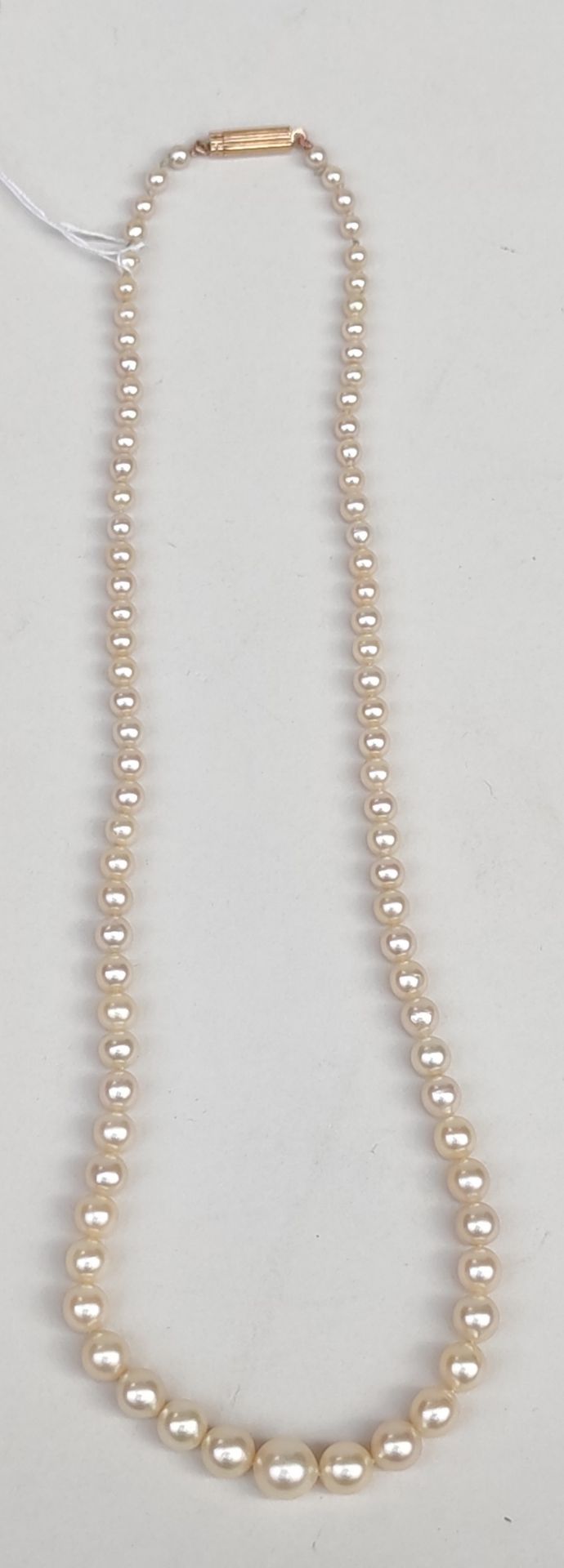 Collier de perles avec fermoir en or jaune 750°/00 Poids brut : 19.51 g  (perles&hellip;
