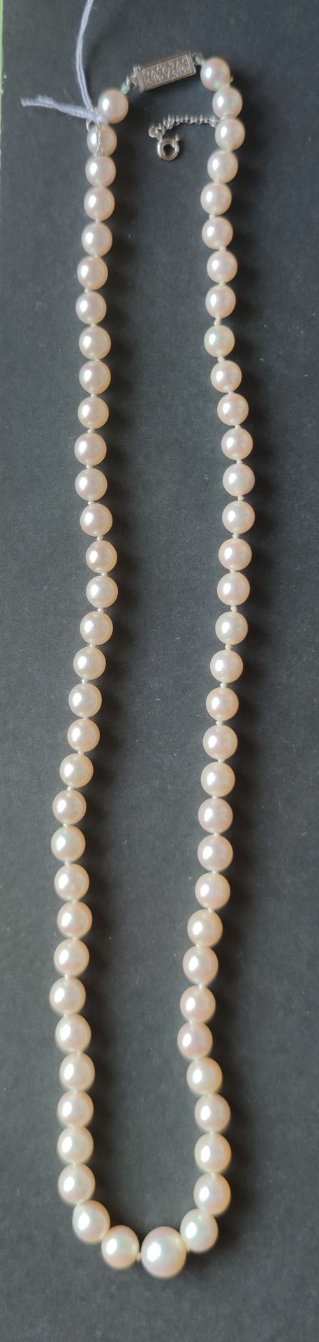 Null 单排养殖珍珠项链，750°/°白金扣和安全链 长度：49厘米 总重量：27.1克