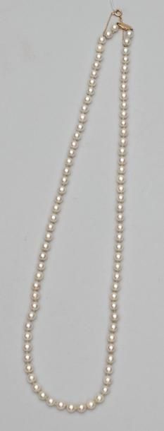 Null Collier de perles de culture calibrées, fermoir en or jaune avec chaînette &hellip;
