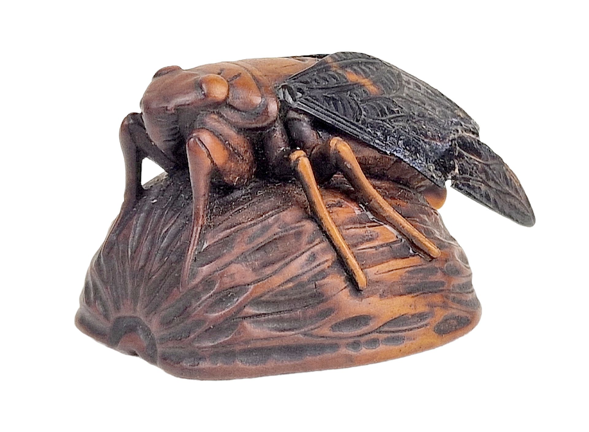ASIE 20ème SIECLE Cicada



In carved boxwood, resting on a walnut shell signed &hellip;