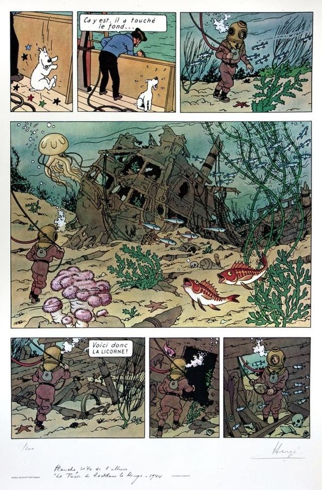 Hergé : 丁丁，世界自然基金会石版画《红色拉克姆的宝藏》n°8/200，已签名。尺寸：70 x 100