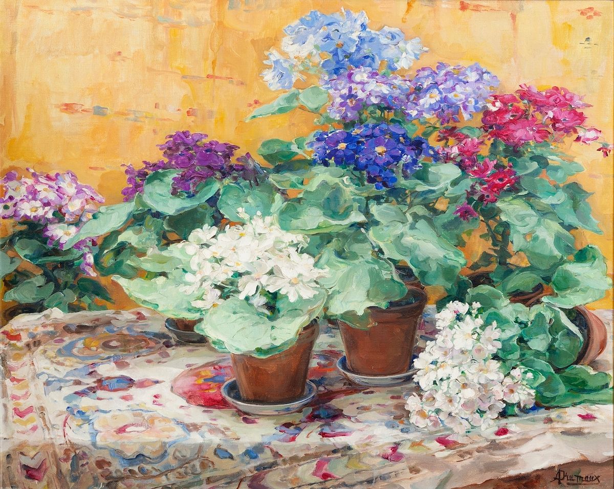 Null Angelina DRUMAUX (1881-1959)
Les fleurs en pots
Huile sur toile
Signé en ba&hellip;