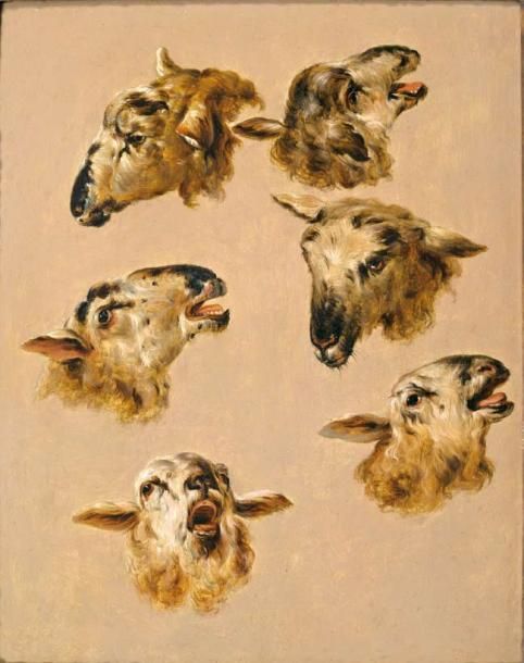 Jean Baptiste HUET (1745 - 1811) Etude de têtes de chèvres et boucs Panneau de n&hellip;
