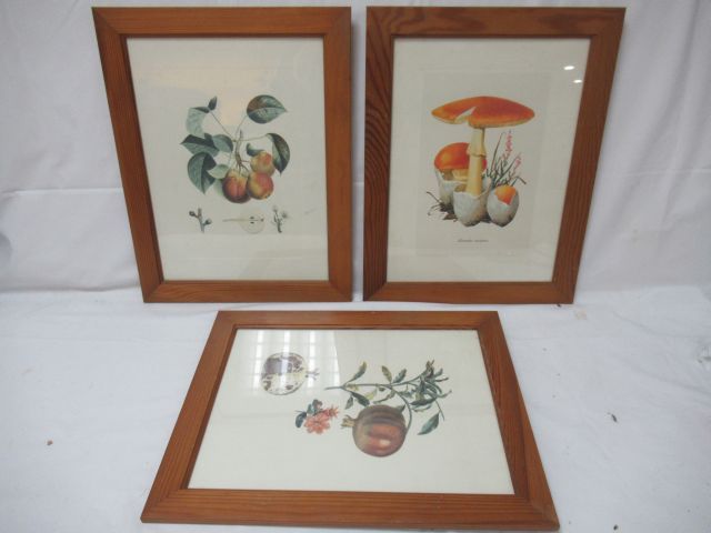 Null Suite of 3 lithographs in colors, representing food. Framed under glass, na&hellip;