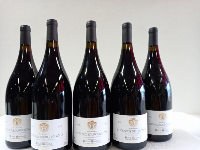 Null 5 Magnums (150cl) Bourgogne rouge. 2018. Louis Philibert