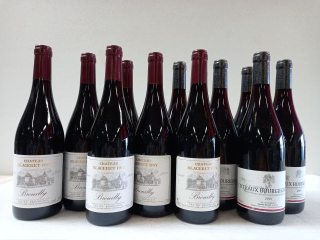 Null Lot de 12 bouteiles : 

6 Bourgogne. Côteaux bourguignons. Benoit Baily. 20&hellip;