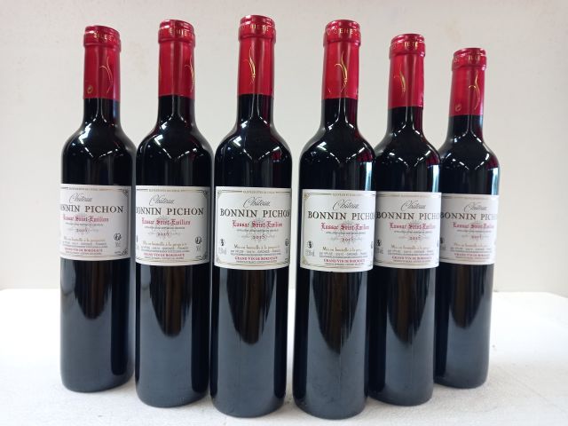 Null 6 piccole bottiglie di Lussac St Emilion. 2015. Château Bonnin Pichon. 500m&hellip;