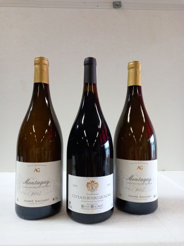 Null Lot comprenant : 

2 Magnums (150cl) Bourgogne. 2017. Montagny blanc. André&hellip;