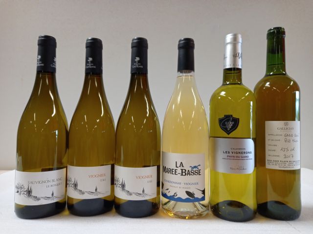 Null Lot of 6 bottles : 

1 Domaine de Castelneau. 2018. Sauvignon blanc. Le Bos&hellip;