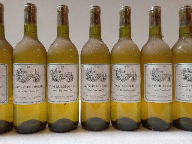 Null 11 botellas de Clos du Libereau. 1997. Con caja de plástico CFP. Charentes &hellip;