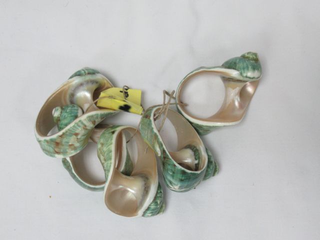 Null Suite of 5 napkin rings in shell elements. 6 cm