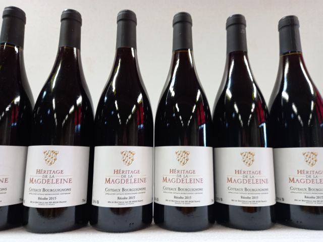 Null 6瓶勃艮第酒。在2015年收获的。L'Héritage de la Magdeleine.勃艮第的山坡上。
