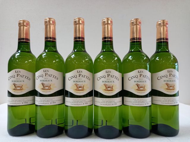 Null 6瓶波尔多白葡萄酒，2011年。五条腿。最好的葡萄品种的选择。波尔多。有编号的瓶子