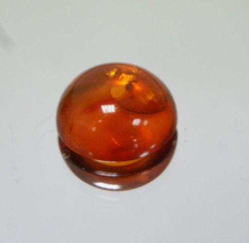 Null Amber cabochon on paper. 

Weight : 3,53 carat approx.