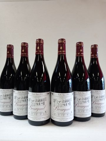 Null 6 bottles of red Bourgueil. 2013. Old vines. Domaine Fauvy. Winegrower