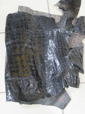 Null Wichtiger Leder-Gutschein im Krokodil-Stil. Länge: 85 cm