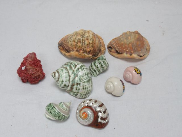 Null Small batch of shells. 6-13 cm