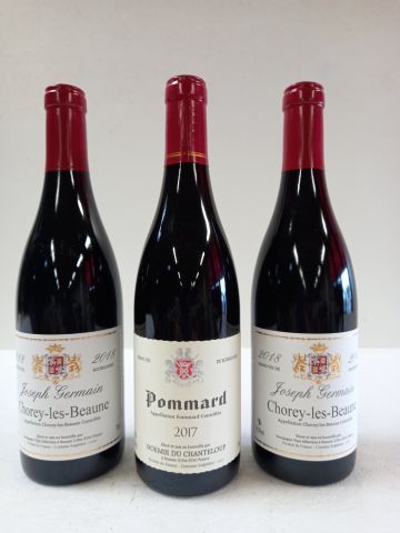 Null Lot of 3 bottles: 

1 Pommard 2017. Burgundy. Noémioe du Chanteloup

2 Chor&hellip;