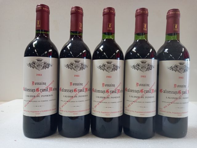 Null 5 bouteilles de Domaine de Galvesse. 1983. Lalande de Pomerol. Ropriétaire &hellip;