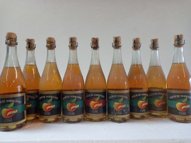 Null 9 bouteilles de Cidre méthode Champennoise. La fleur de Normandie. 75cl. 4%&hellip;
