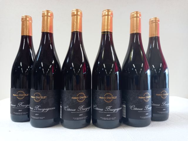 Null 6 bouteilles de Bourgogne rouge. 2017. Côteaux Bourguignons. M.Chatelet