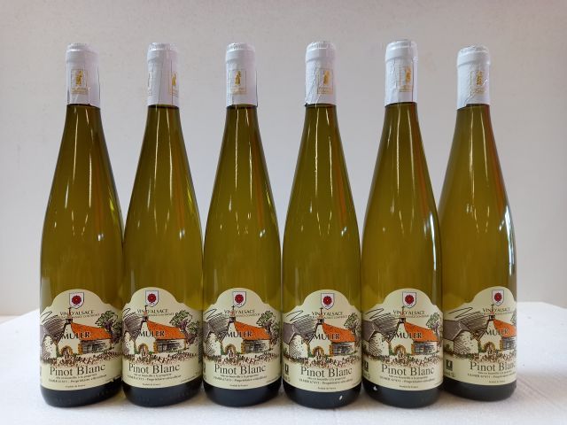 Null 6 bottles of Alsace Pinot Blanc. 2019. Domaine Muler. Harvesting owner