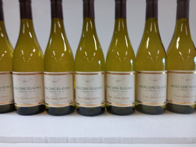 Null 8 bouteilles de Bourgogne. Macon Lugny. 2019. Paul Henri Lacroix