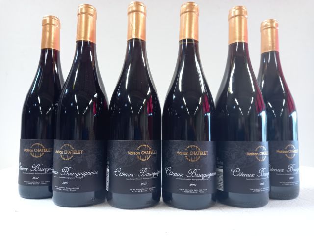 Null 6 bottles of red Burgundy. 2017. Côteaux Bourguignons. M.Chatelet